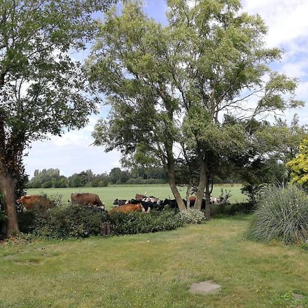 Vinkelaar 11 Villa Terschuur Dış mekan fotoğraf