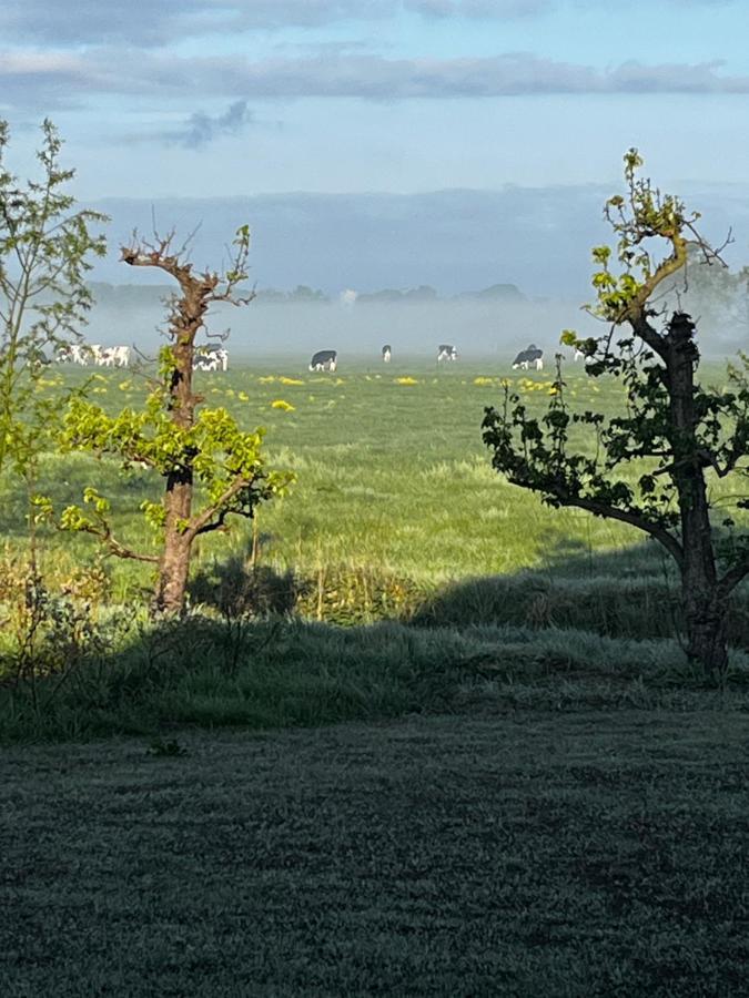 Vinkelaar 11 Villa Terschuur Dış mekan fotoğraf